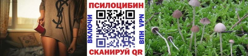 Псилоцибиновые грибы Psilocybe  Острогожск 